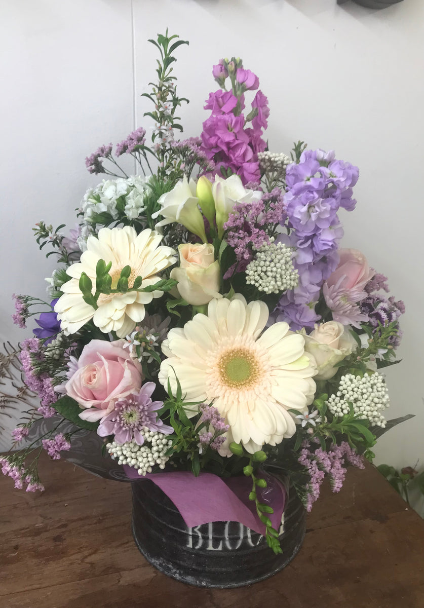 Blooming pretty Me Not Matamata