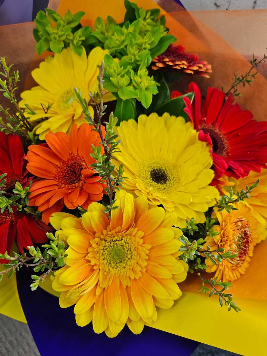 Just Gerberas Me Not Matamata