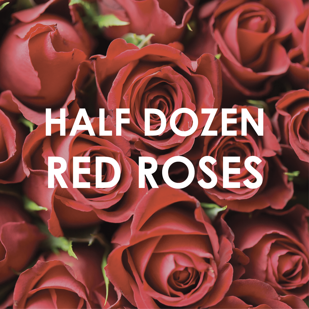 Half Dozen Red Roses Me Not Matamata