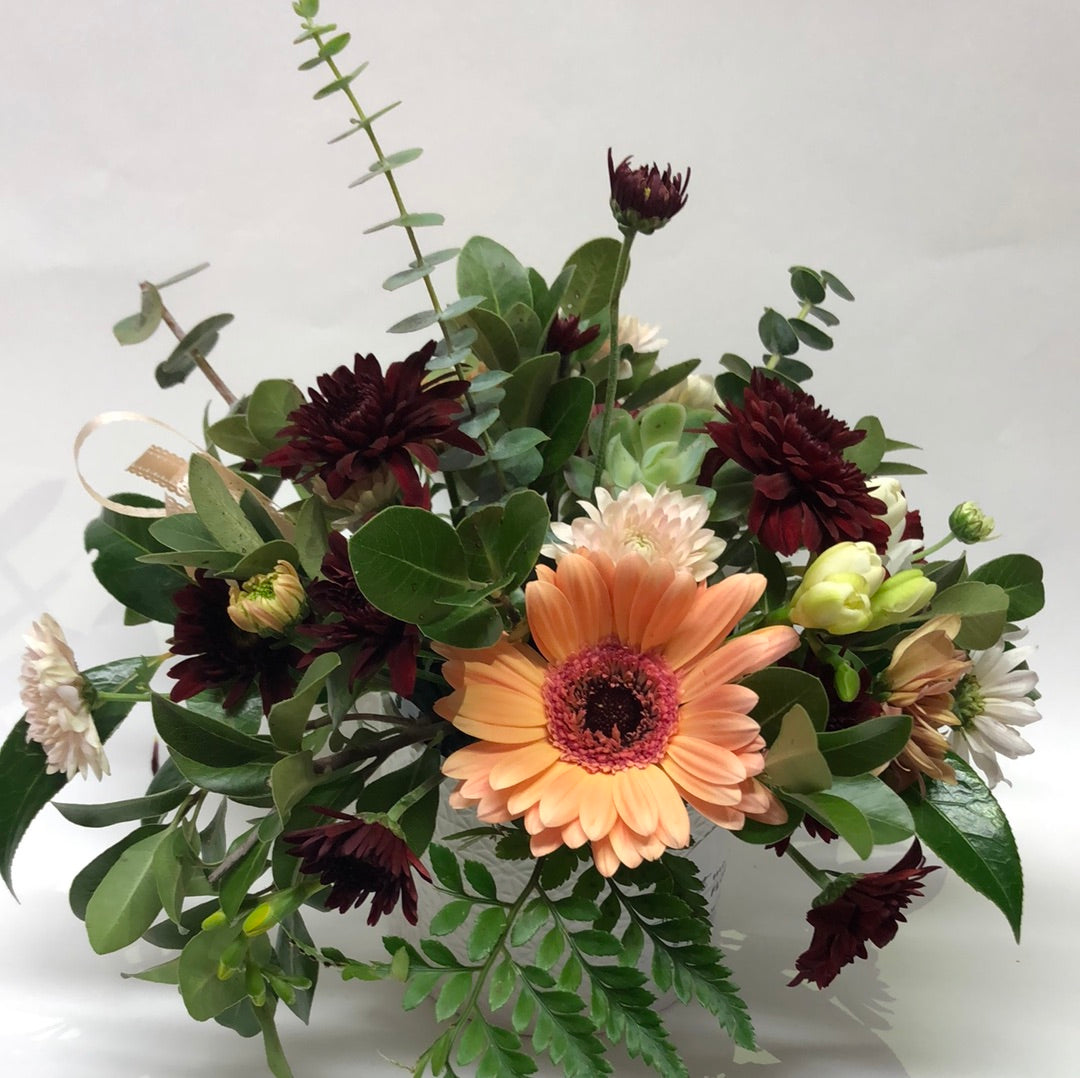 Peach Delight Me Not Matamata