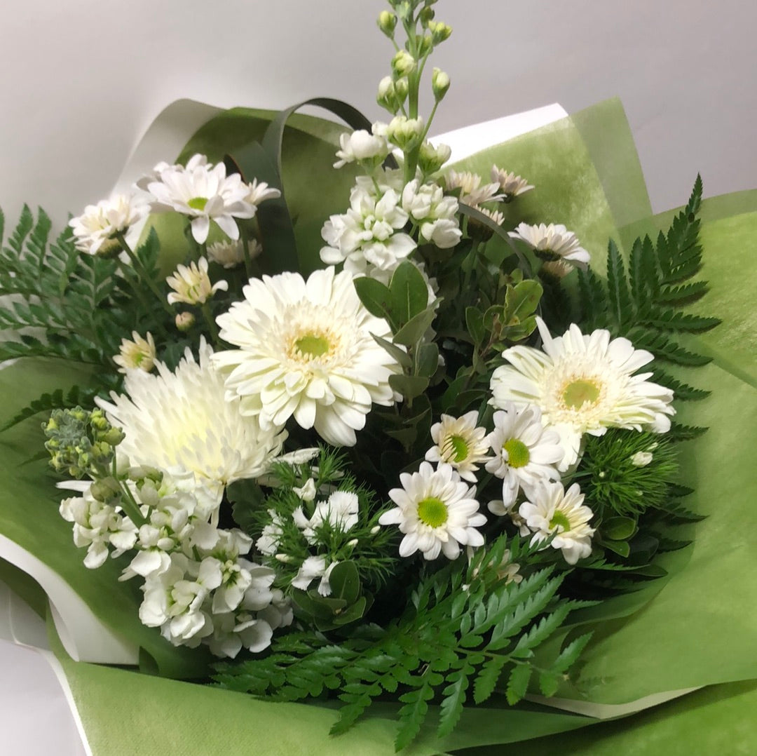 Simply White Me Not Matamata