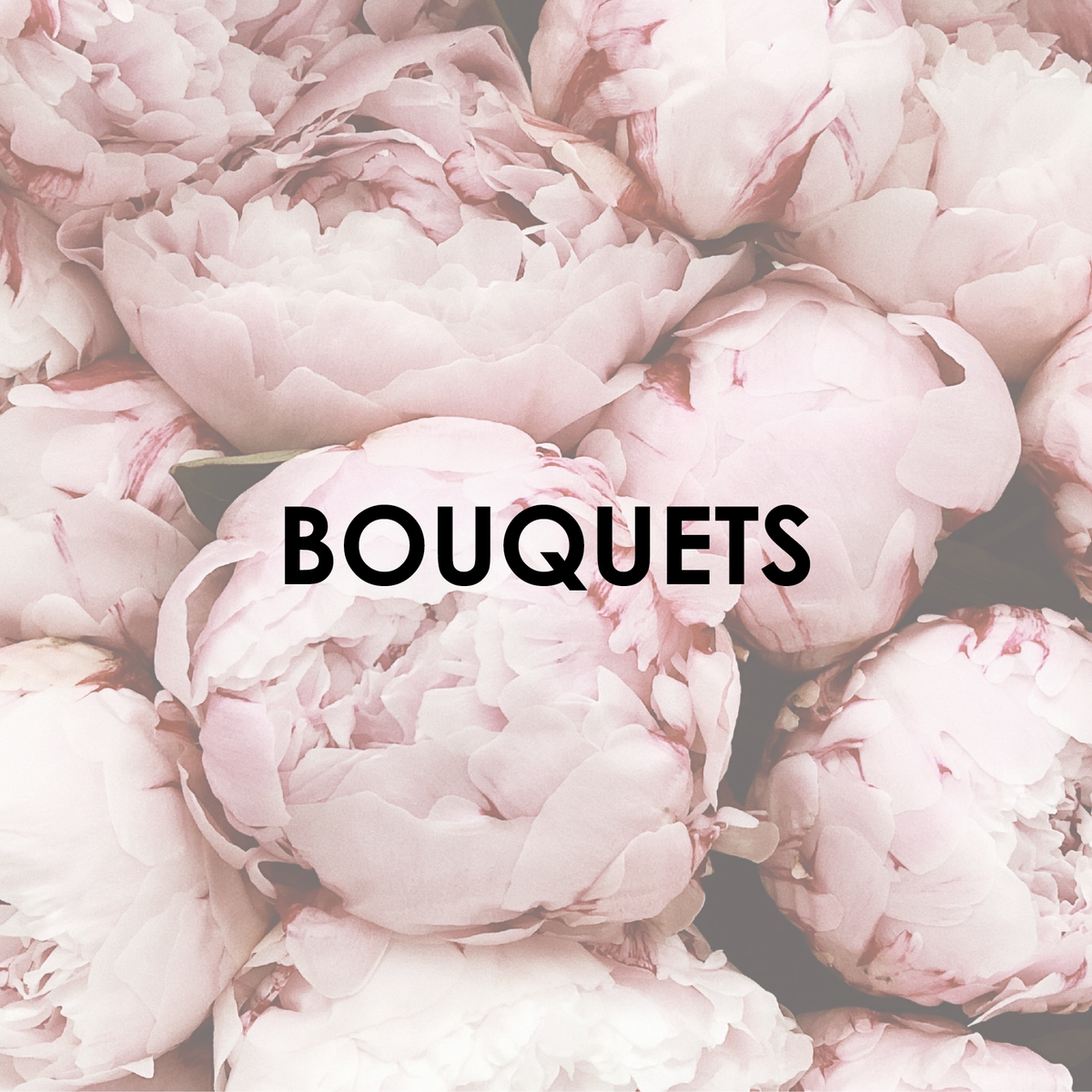 Bouquets Me Not Matamata