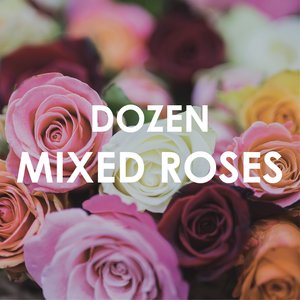 12 Mixed Roses