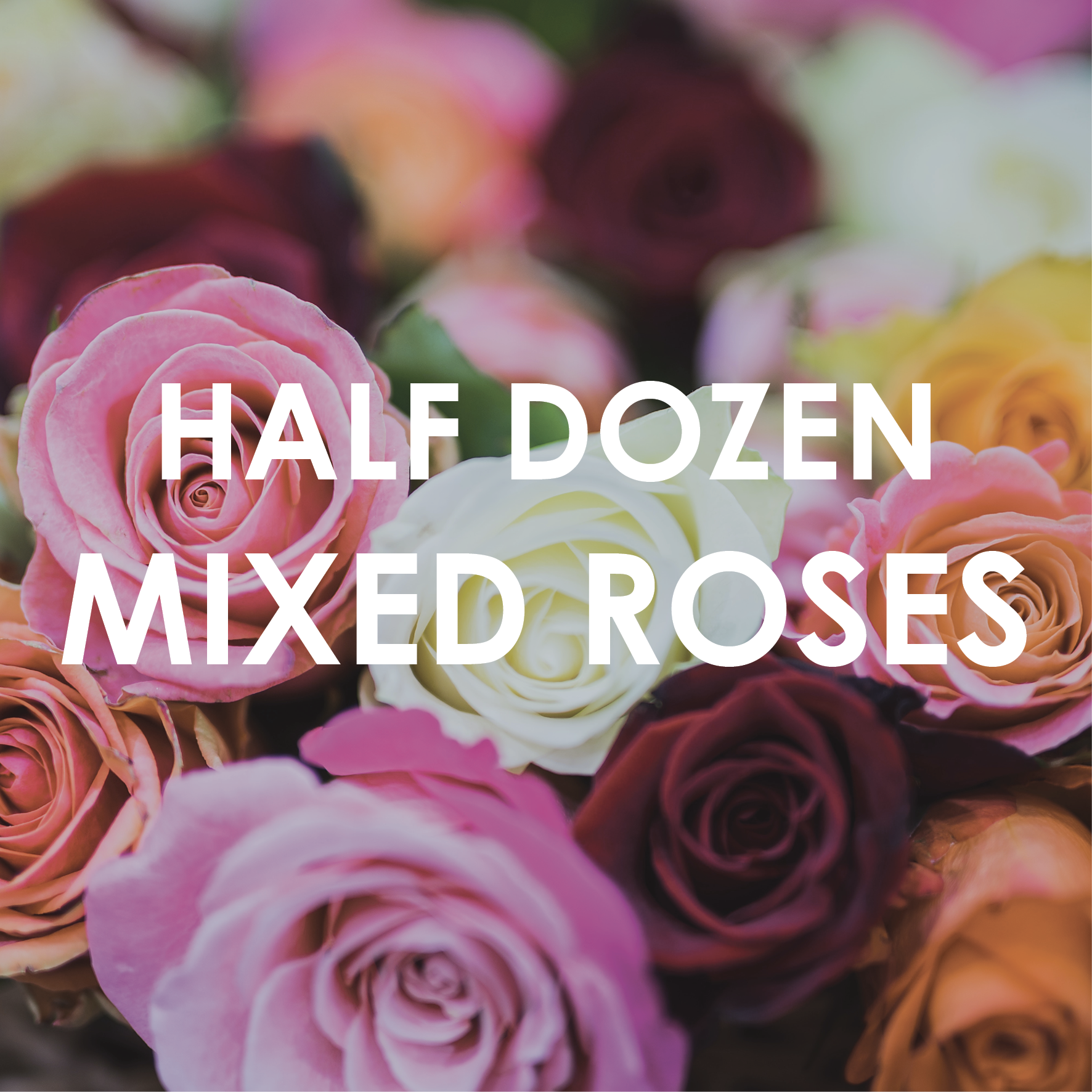 Half Dozen Mixed Roses